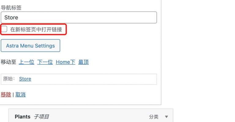 如何设置WordPress网站导航菜单在新窗口打开