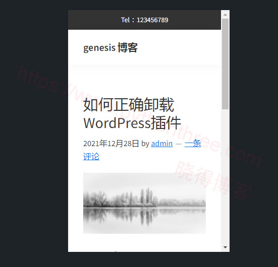 Genesis-Framework框架中标题上添加顶栏效果